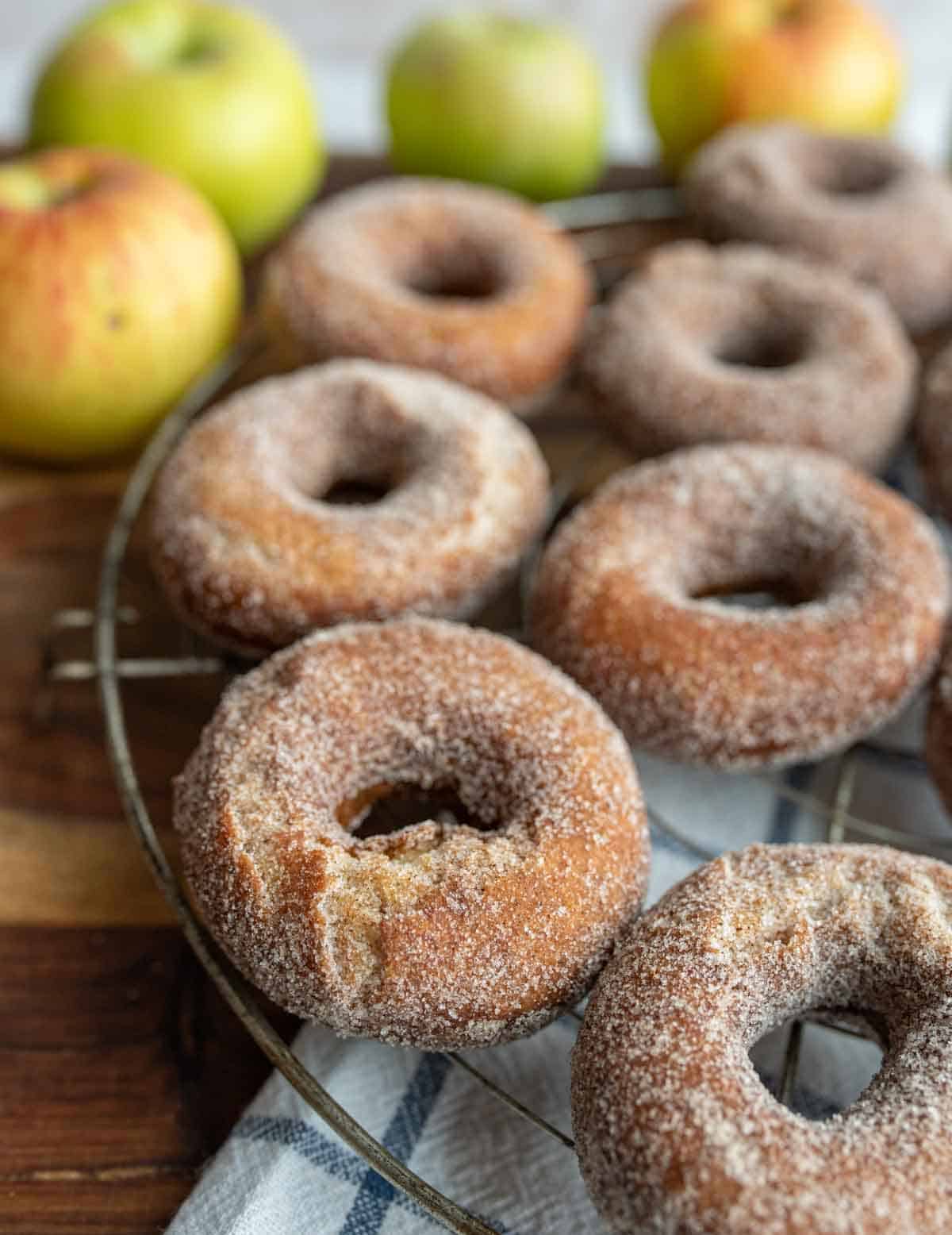 apple cider donuts and holes dusted with sugar on a cooling rack