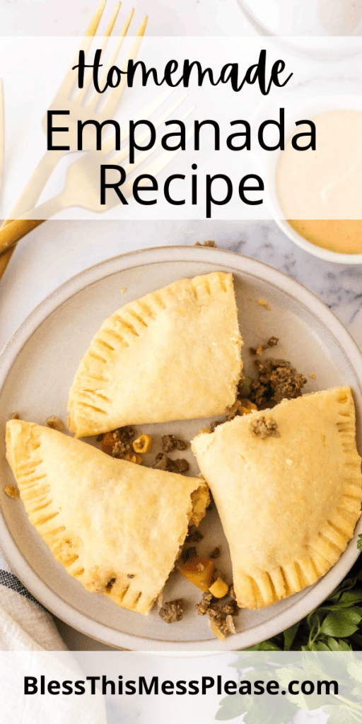 pintrest image with text that reads homemade empanada recipe