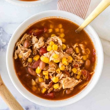 brunswick stew served in a white bowl