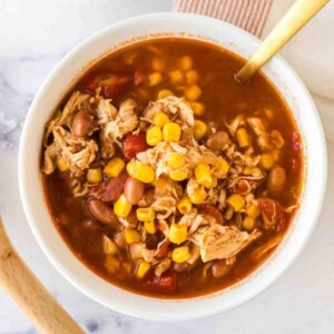brunswick stew in a white serving bowl