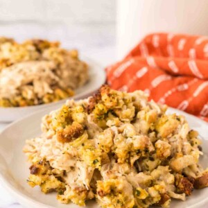 side view of a round plate with chicken and stuffing casserole