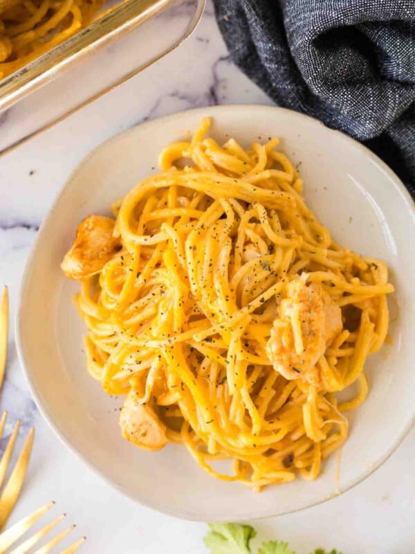 top view round white plate with chicken spaghetti