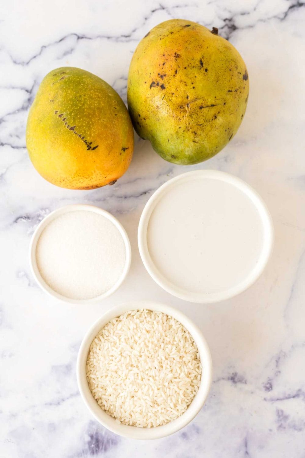 top view with portioned ingredients of mango sticky rice