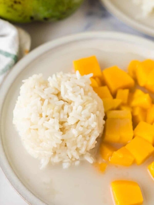 mango sticky rice on a white plate