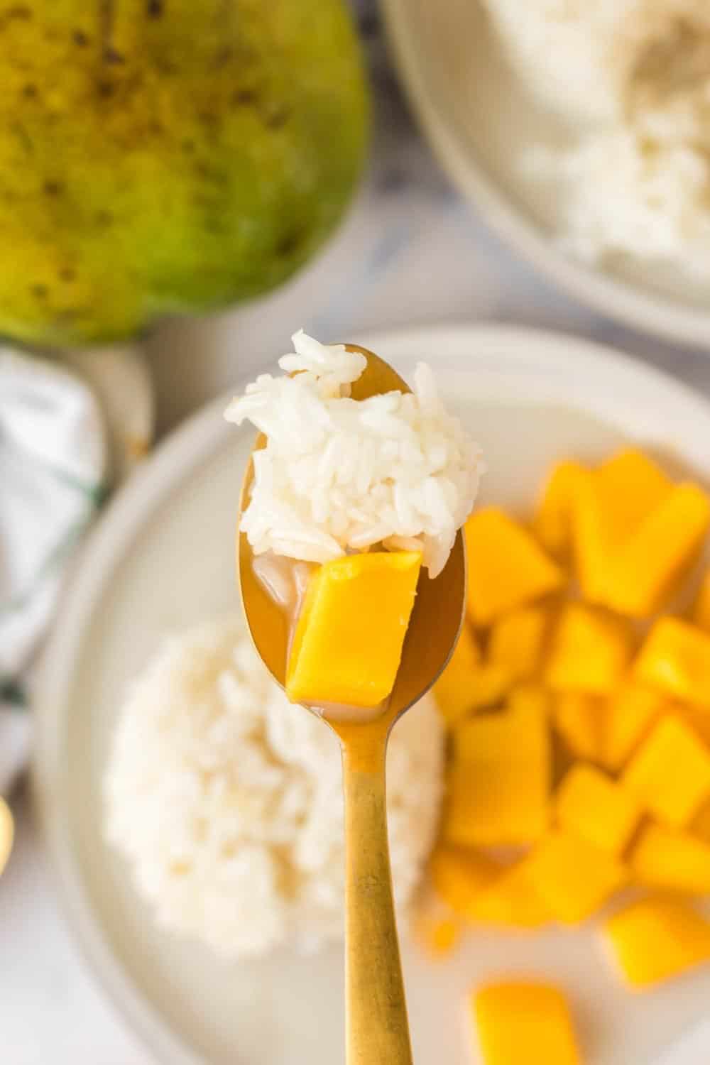 top view with a POV spoonful of mango sticky rice and fresh mango squares