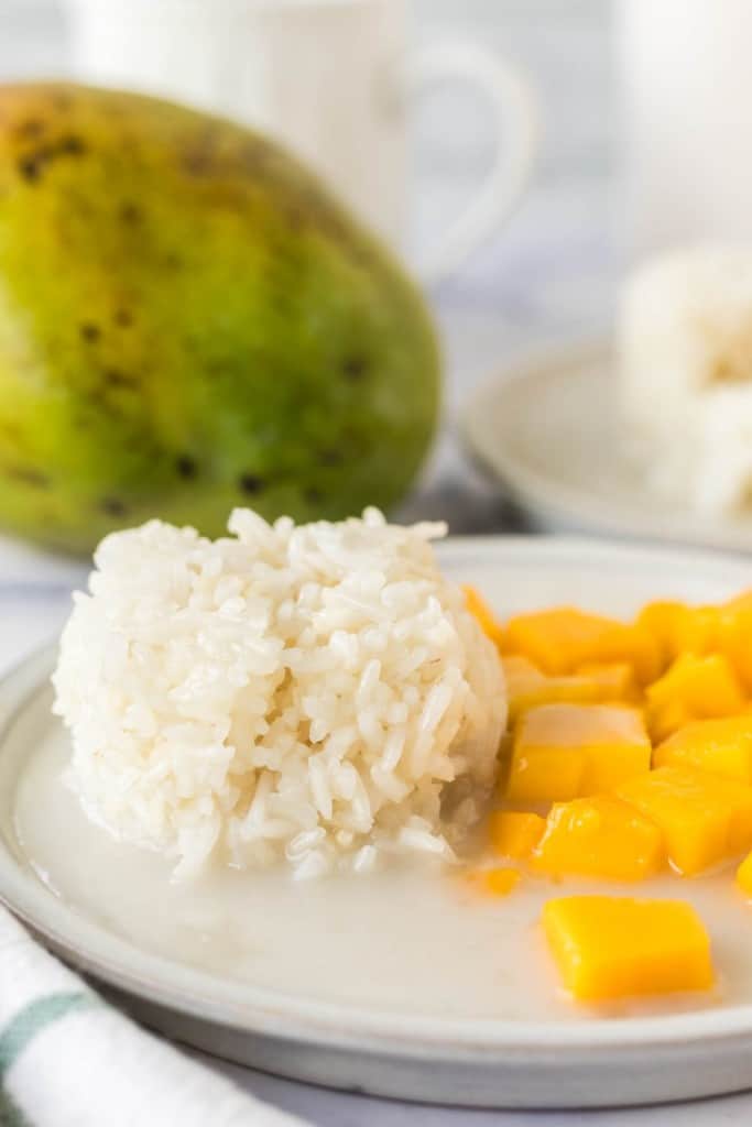 Mango Sticky Rice — Bless this Mess