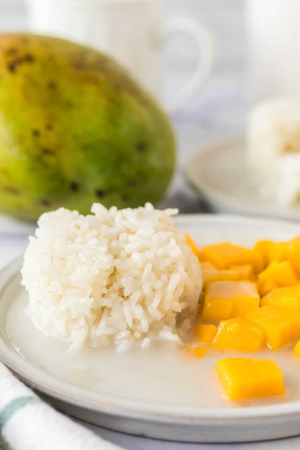 side view of mango sticky rice on a white plate