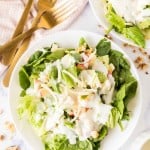 white dish with apple salad served with cheese and creamy dressing.