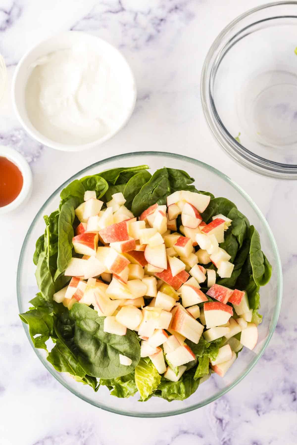 small clear bowls with apple salad ingredients