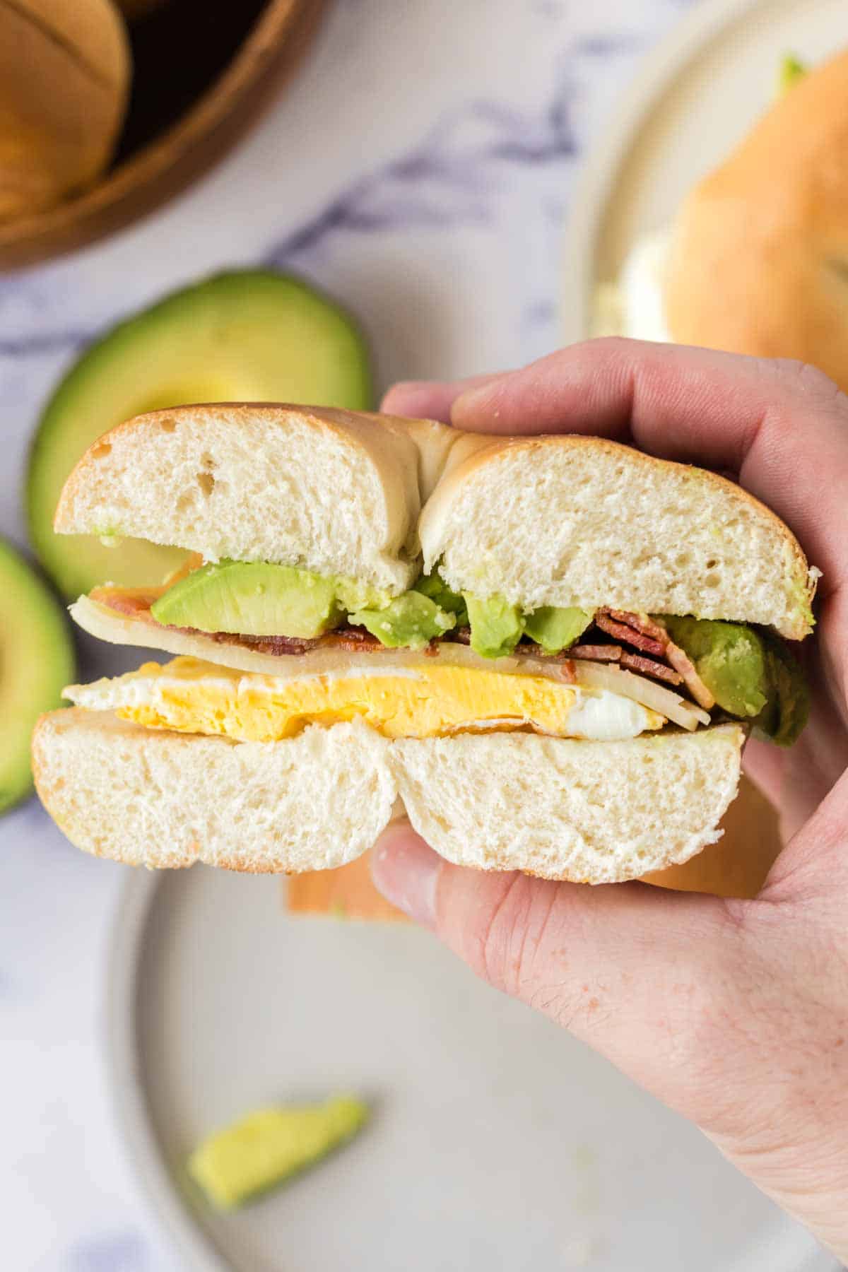 POV hand holding a side view of a half bagel sandwich