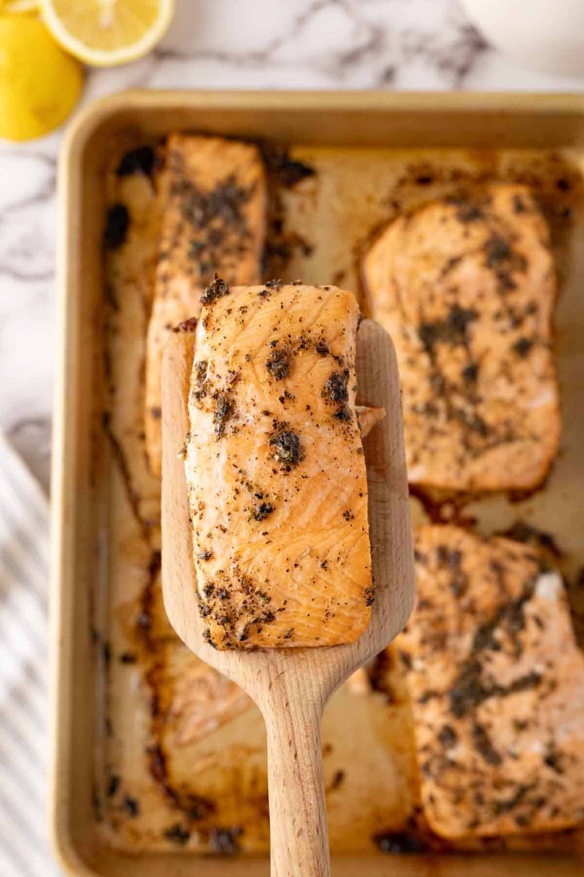 POV on a wooden spatula lifted above four salmon filets seasoned and baked on a cookie tray