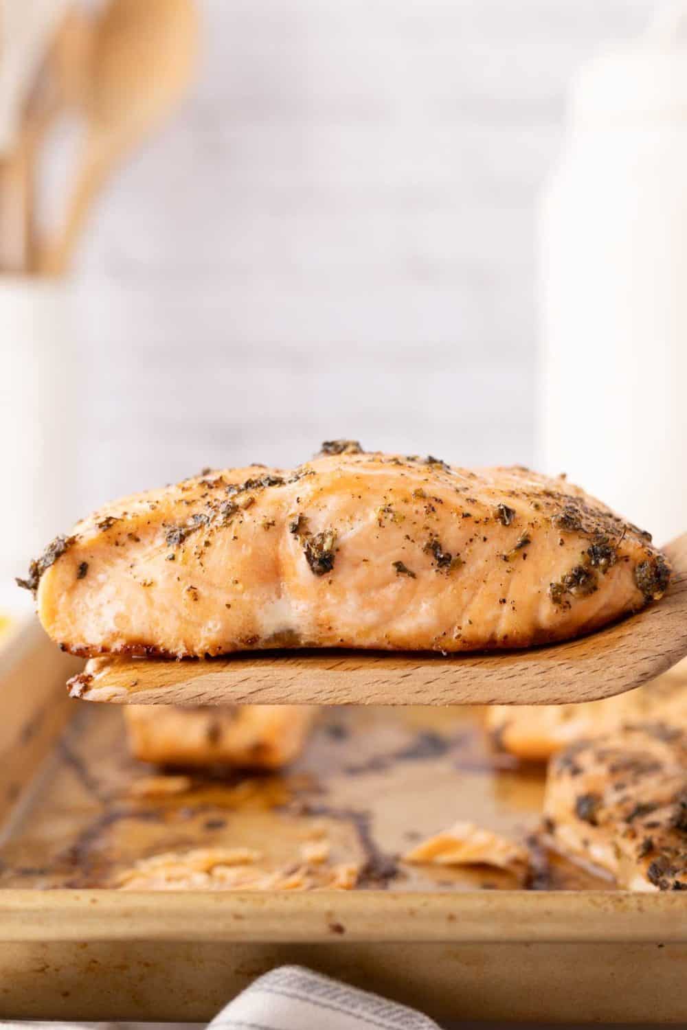 a salmon filet on a wooden spatula lifted above four other salmon filets on a baking sheet.