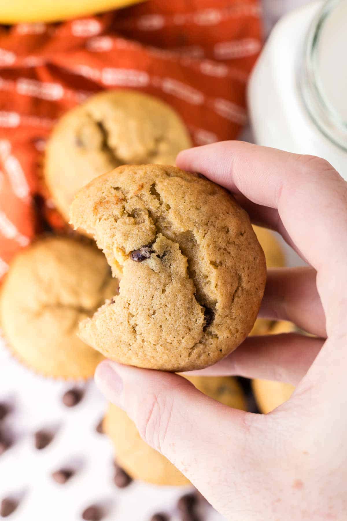 POV hand holding a banana chocolate chip muffins with a bite taken out