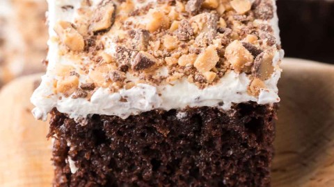 Better than sex chocolate online lava cake