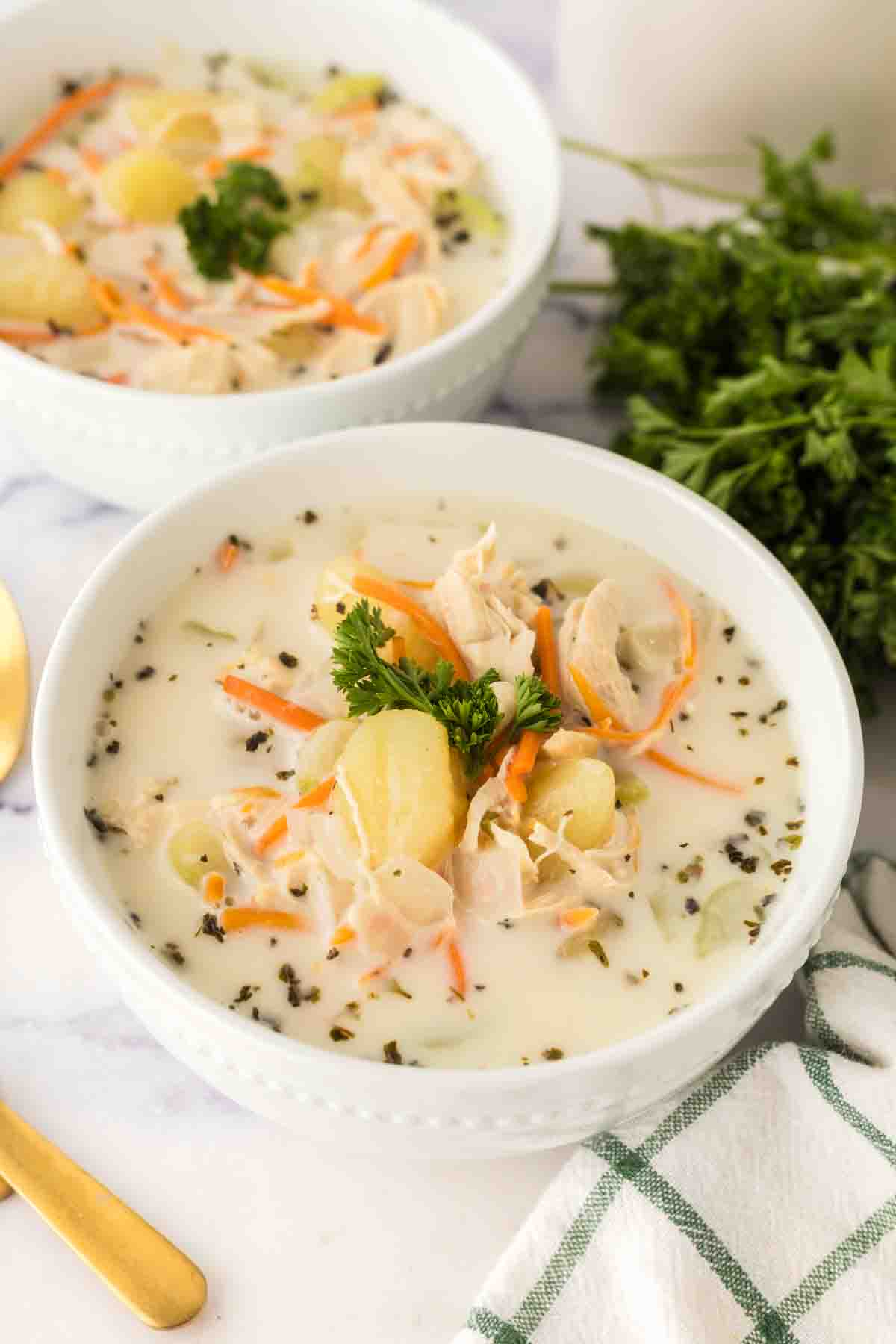 small serving bowl of chicken gnocchi soup