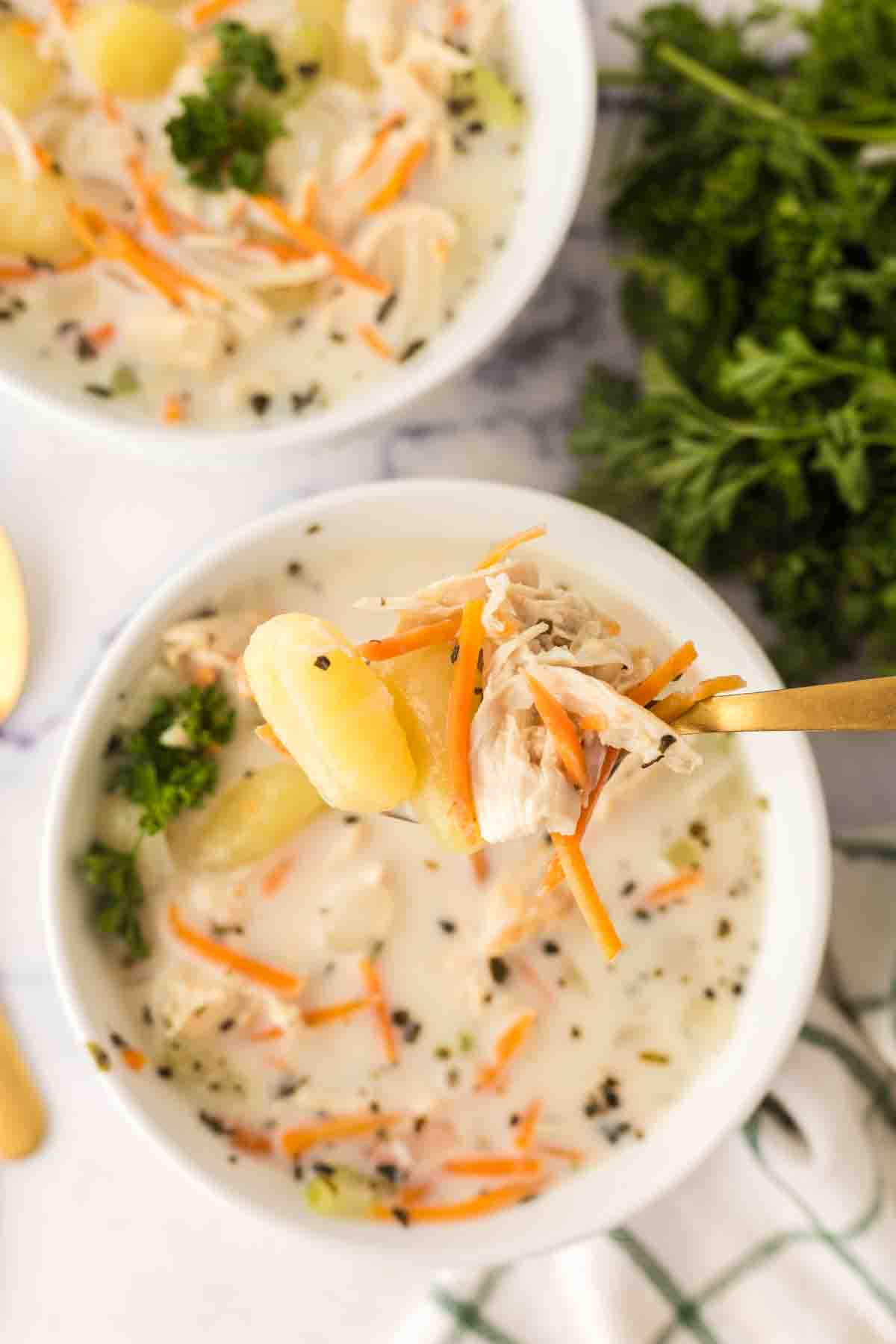 small serving bowl of chicken gnocchi soup