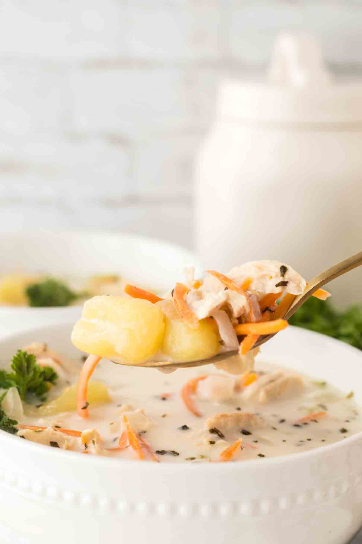 side view of a bowl of chicken gnocchi soup