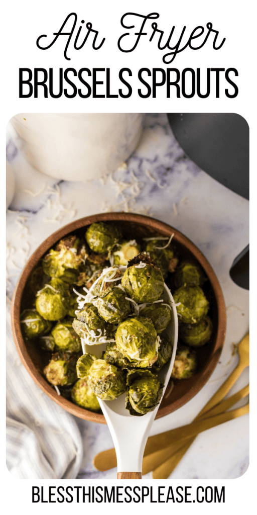 Pinterest Image that matches the text which reads Air Fryer Brussels Sprouts Recipe
