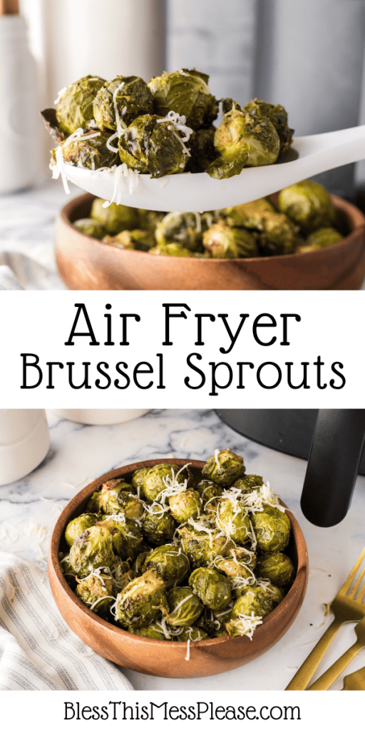 Pinterest Image that matches the text which reads Air Fryer Brussels Sprouts Recipe