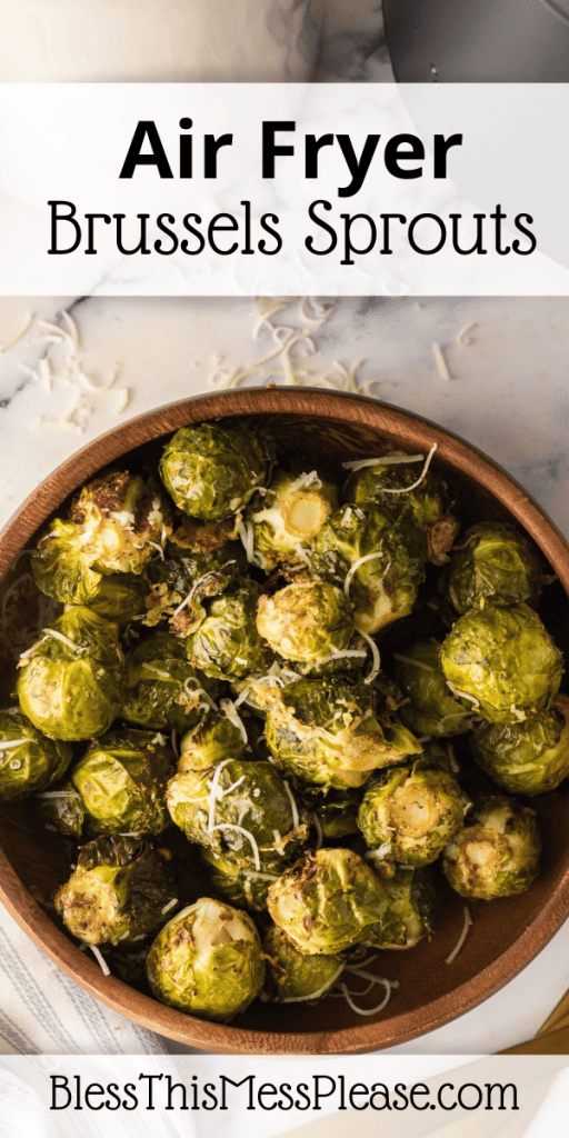 Pinterest Image that matches the text which reads Air Fryer Brussels Sprouts Recipe