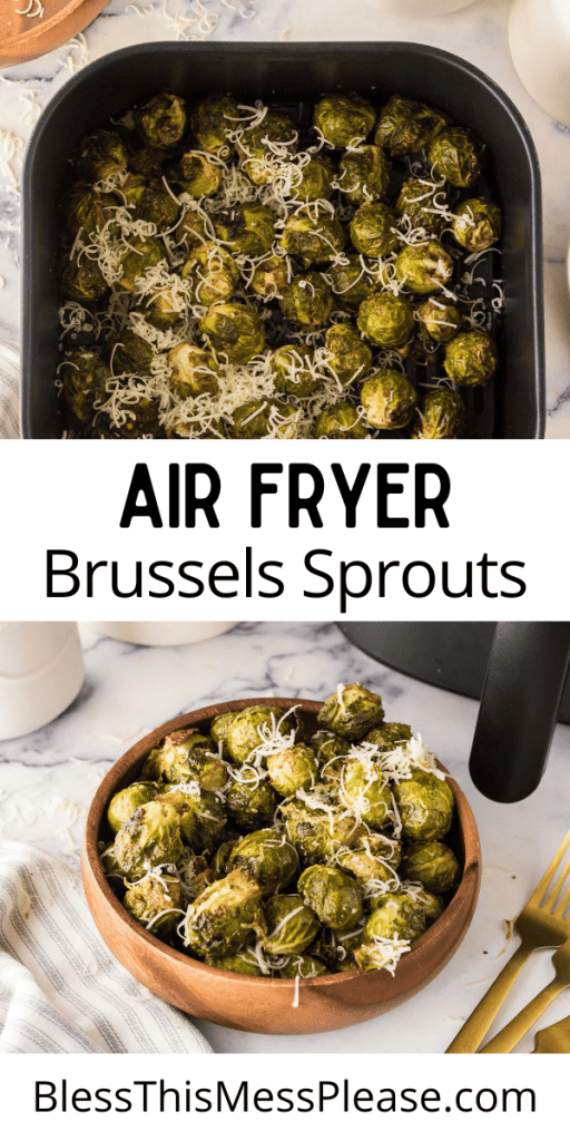 Pinterest Image that matches the text which reads Air Fryer Brussels Sprouts Recipe