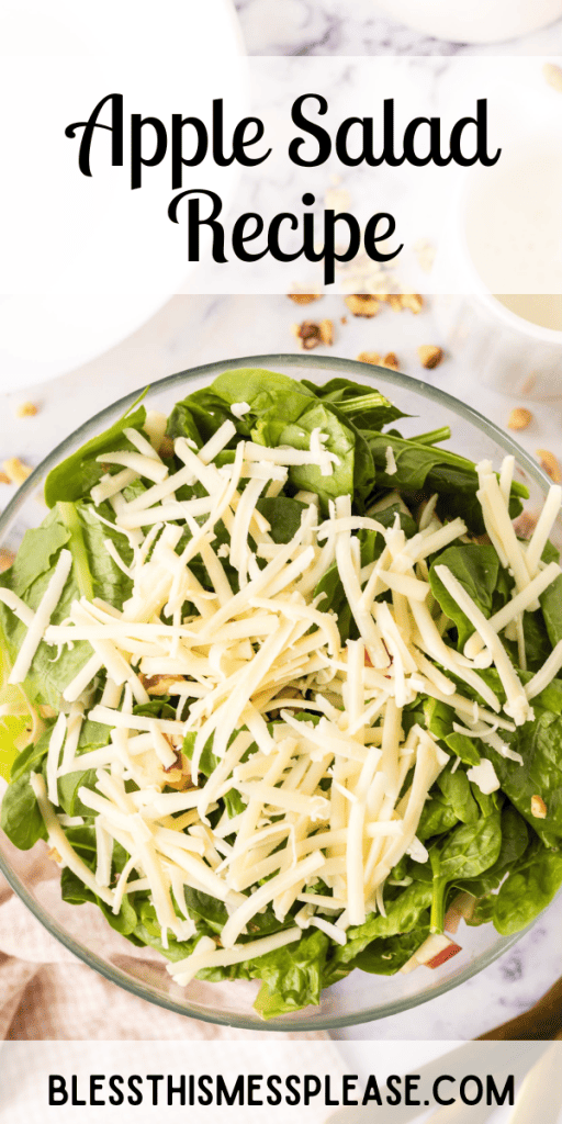 Pinterest pin with text that reads Apple Salad Recipe.