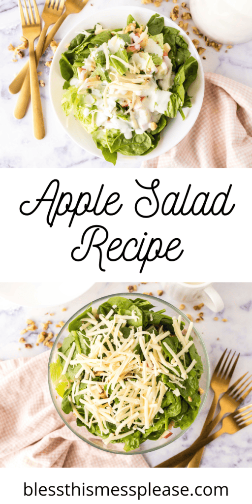 Pinterest pin with text that reads Apple Salad Recipe.