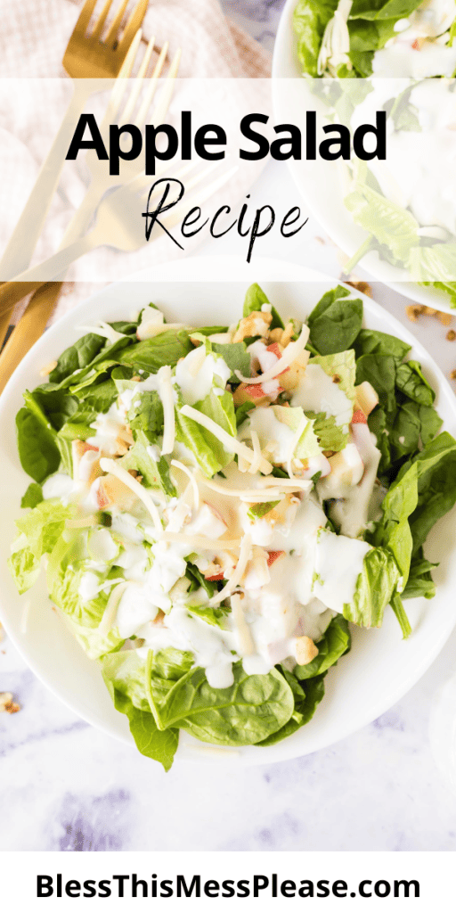 Pinterest pin with text that reads Apple Salad Recipe.