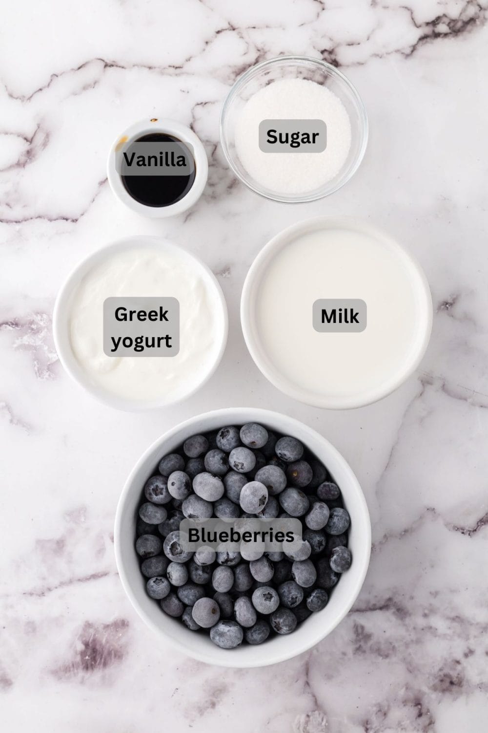 top view of digitally labeled portion dishes of raw ingredients for the blueberry smoothie recipe