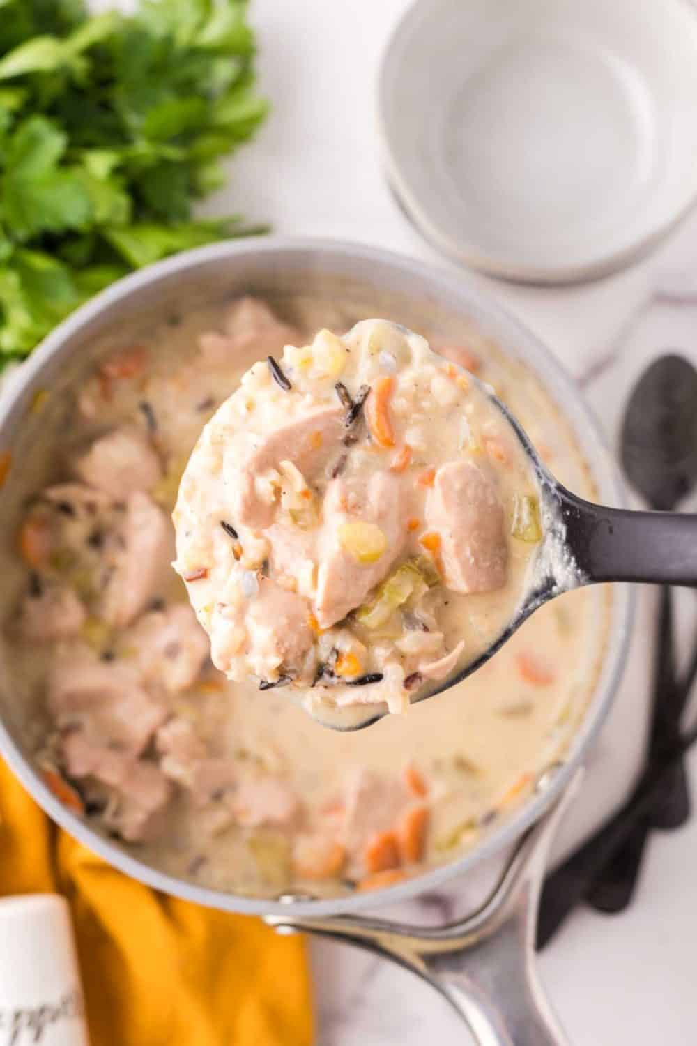 black ladle over the pot of chicken wild rice soup.