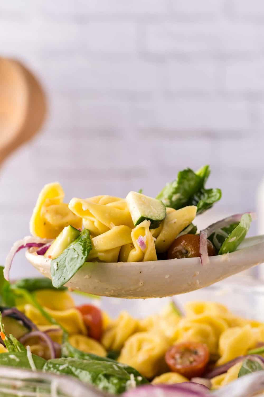 spoonful of tortellini salad over a bowl full of salad.