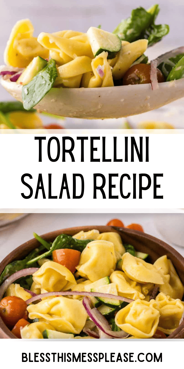 Pinterest pin with text that reads Tortellini Salad Recipe.