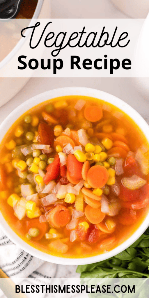 Pinterest pin with text that reads Vegetable Soup Recipe.