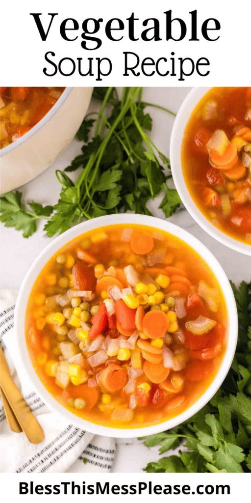 Pinterest pin with text that reads Vegetable Soup Recipe.