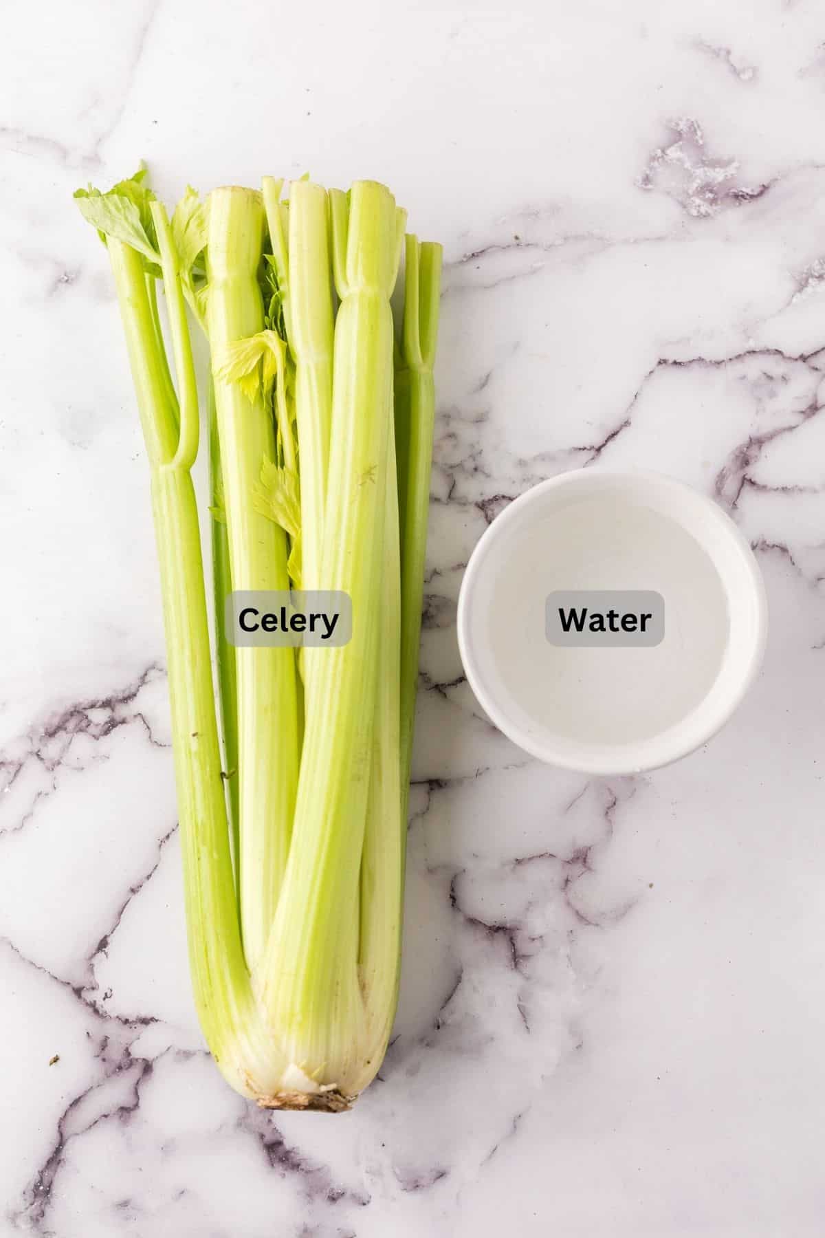 portion bowls each with digitally labeled raw ingredients to make celery juice.