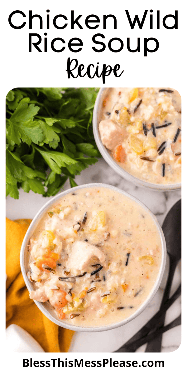 Pinterest pin with text that reads chicken wild rice soup recipe.