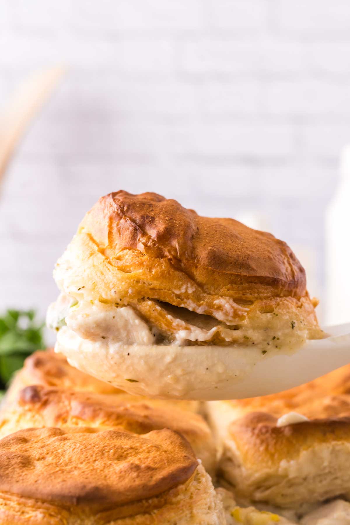 white spoon pulling a biscuit out of casserole dish with the chicken and biscuits recipe.