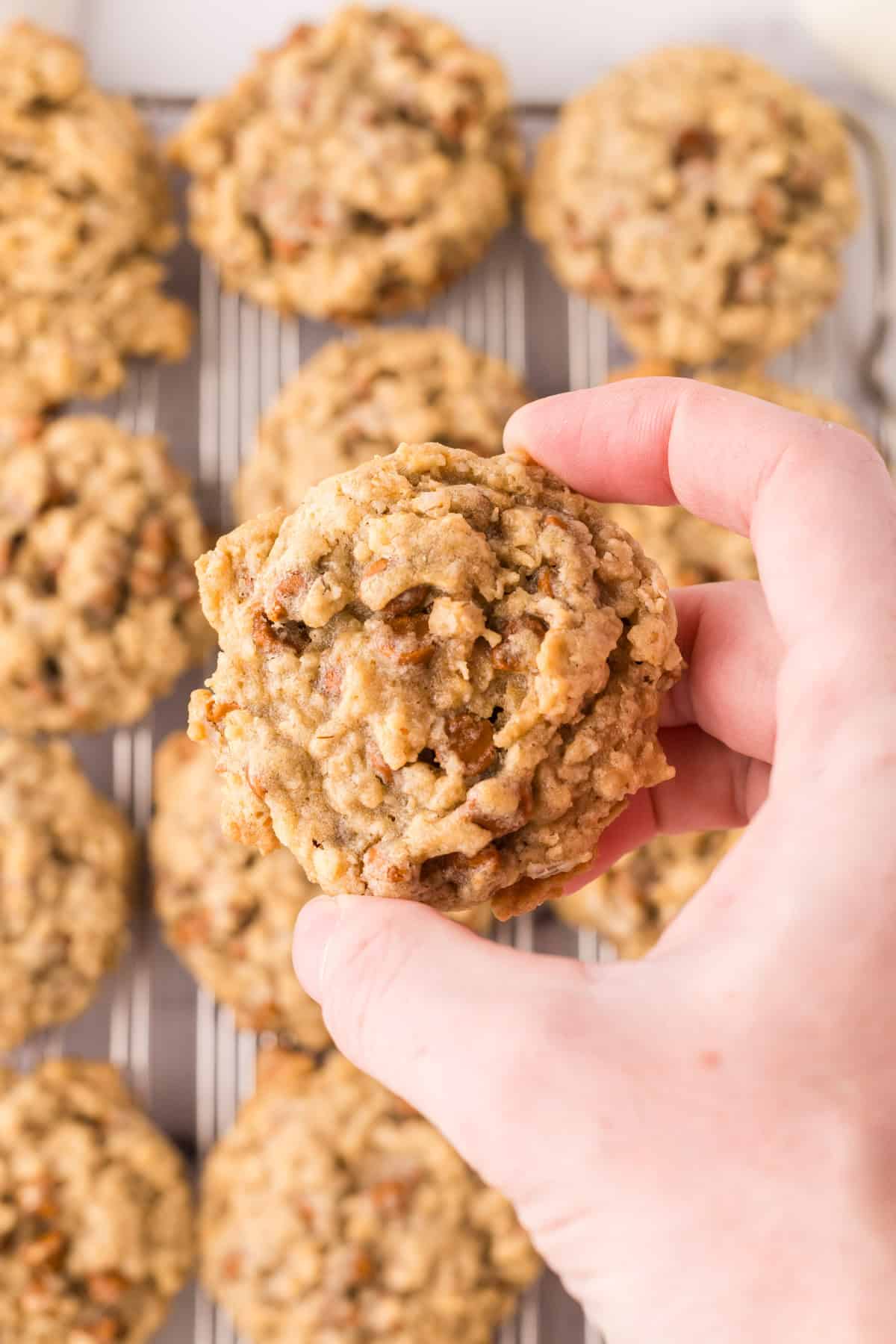 Pot hand holding a cinnamon chip oatmeal cookie.