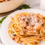 linguini rosa with shrimp on a round white plate.