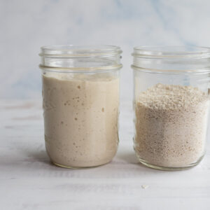 Two glass jars on a light surface; the left jar contains bubbly, active sourdough starter showing how to rehydrate sourdough starter, while the right jar holds dry starter. Both jars are about two-thirds full and set against a pale, blurred background.