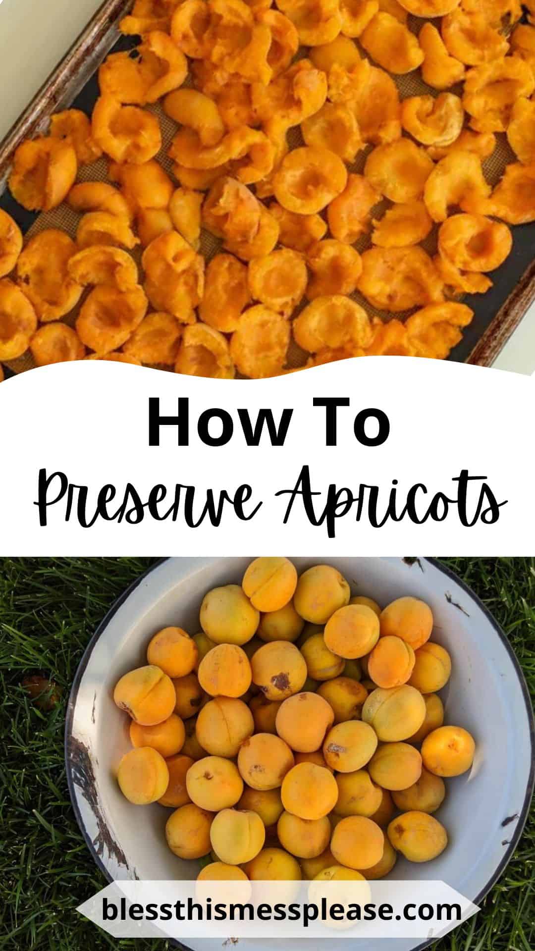 The top half reveals apricot halves resting on a baking sheet, while the bottom showcases whole apricots nestled in a white bowl on the grass. Between them, learn How To Preserve Apricots. Visit blessthismessplease.com for tips on how to preserve apricots with ease.