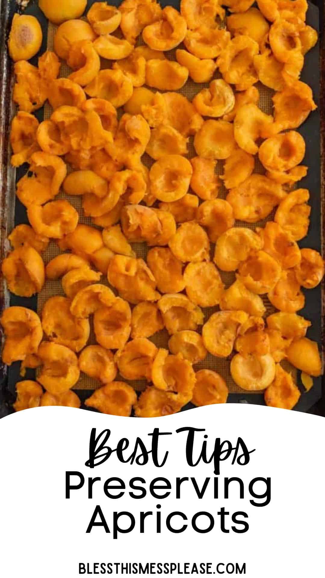 Tray filled with halved and pitted apricots, spread out for drying or preserving. Text overlay reads, How to Preserve Apricots: Best Tips.