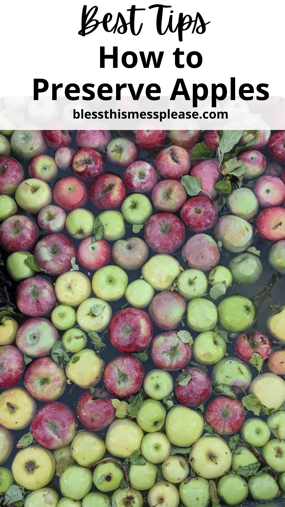 An assortment of red and green apples floats gracefully in water, their leaves and stems creating a picturesque scene. Across the top, bold text reads: Best Tips on How to Preserve Apples blessthismessplease.com.