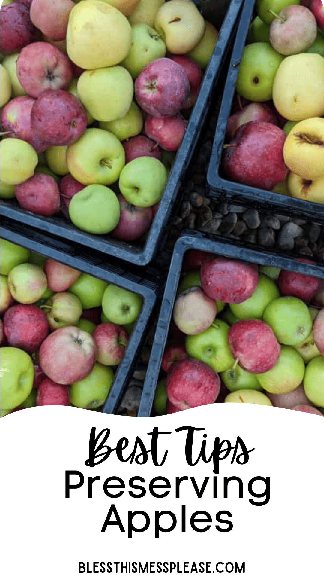A top view of multiple crates filled with red and green apples. The text Best Tips: How To Preserve Apples graces the image, along with blessthismessplease.com at the bottom.