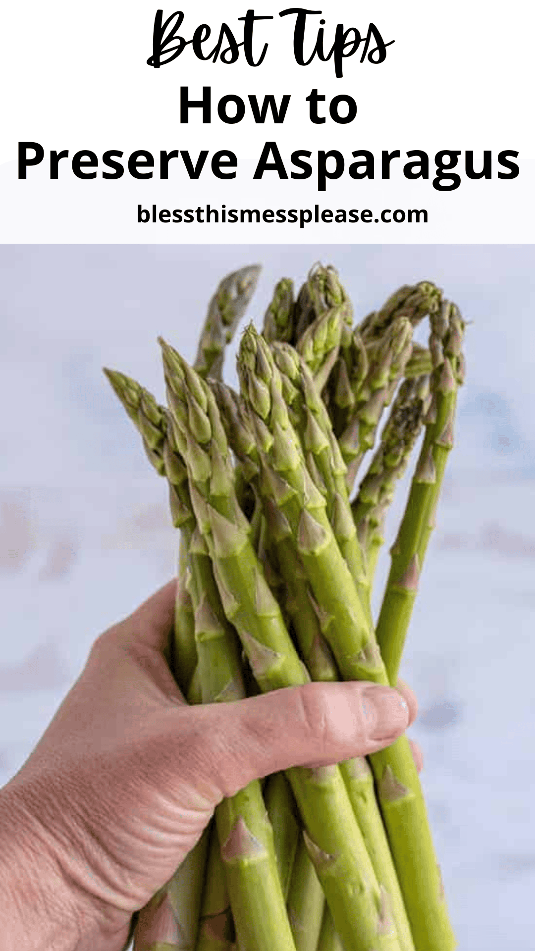 A hand holding a bunch of fresh asparagus spears; text at the top reads Best Tips How to Preserve Asparagus blessthismessplease.com.