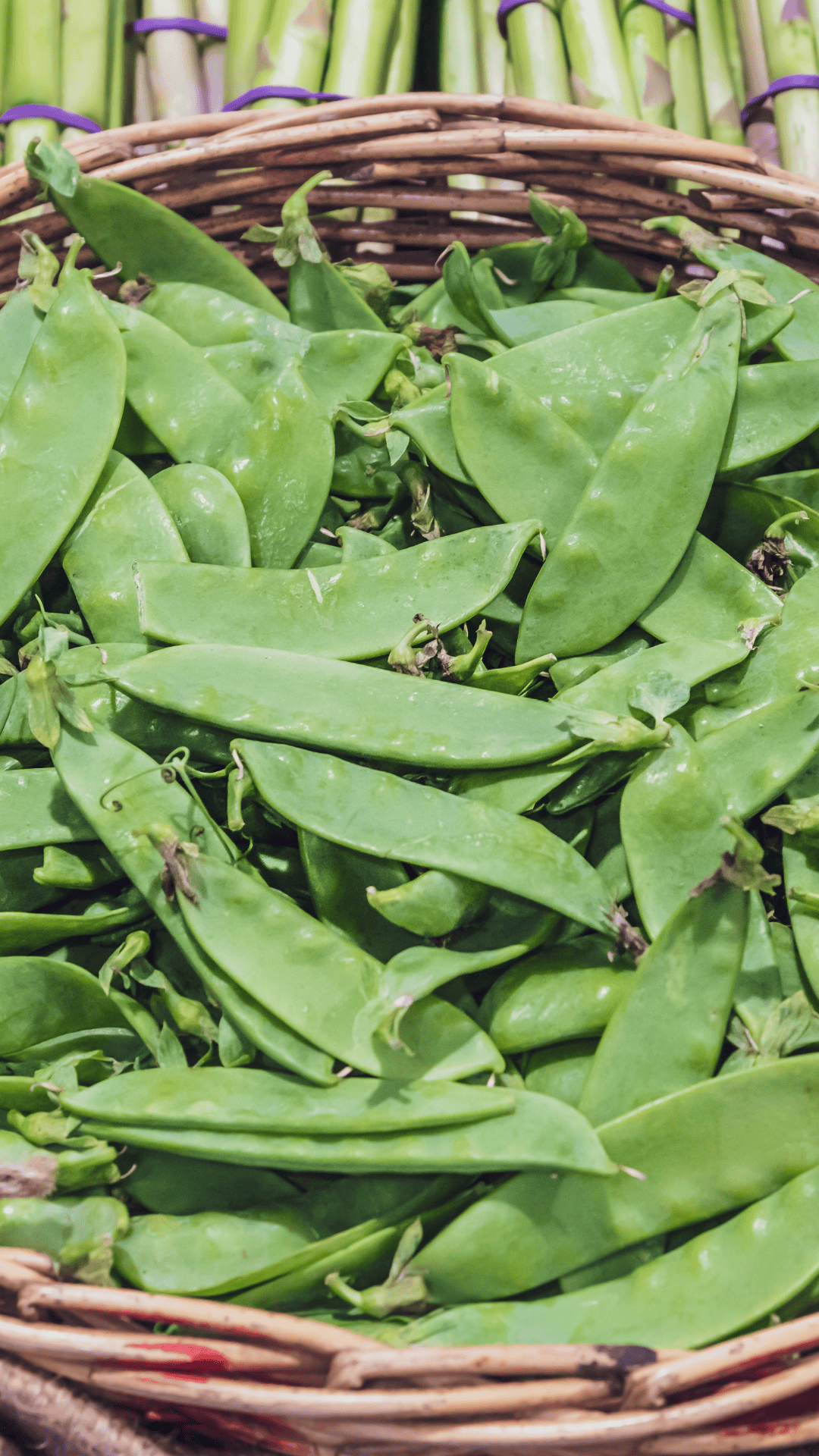 A close-up of fresh snow peas for how to harvest green snap beans piled in a woven basket, with bright green pods and a few stems visible.