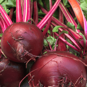 Freshly harvested beets with vibrant red-purple bulbs and long striped stems, surrounded by green leaves. The roots are still attached, making them perfect for learning how to preserve beets straight from the garden.