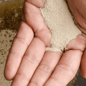 A close-up of a hand holding dry active yeast over a mixing bowl with liquid ingredients, illustrating the step where bakers often consider instant yeast vs active dry yeast for their recipes.