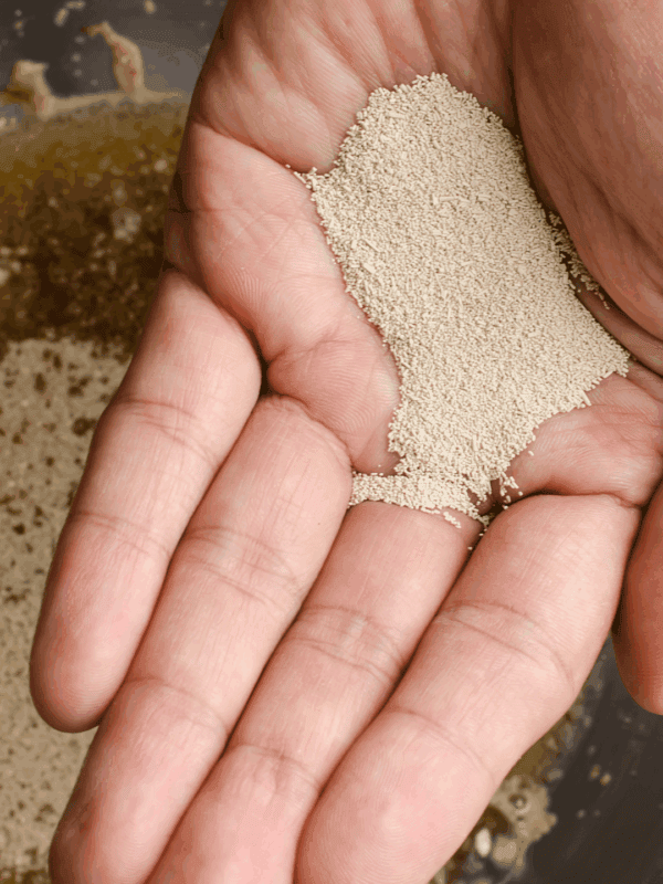 A close-up of a hand holding dry active yeast over a mixing bowl with liquid ingredients, illustrating the step where bakers often consider instant yeast vs active dry yeast for their recipes.