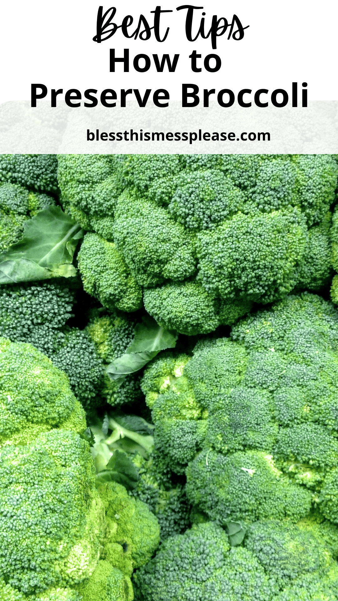 Close-up view of fresh broccoli heads, with text above reading Best Tips How to Preserve Broccoli and the website blessthismessplease.com displayed.